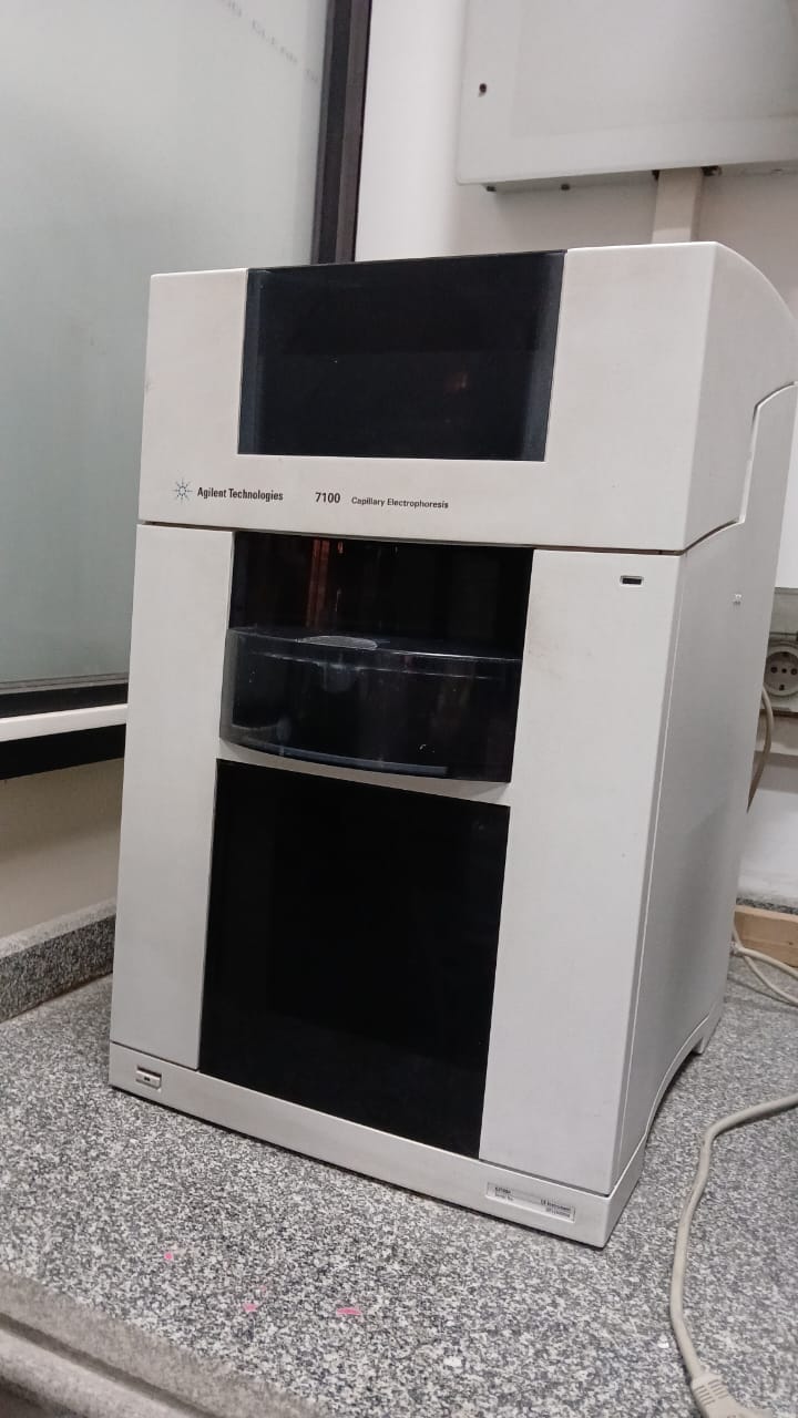 Capillary Electrophoresis (CE)